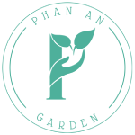 Phan An Garden